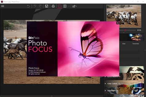 Download InPixio Photo Focus